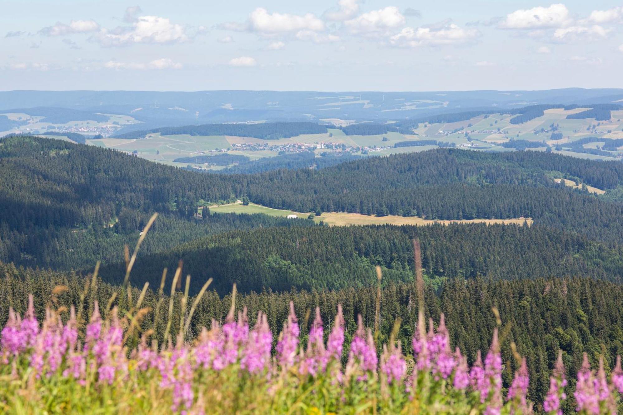 Villa Number 8 Feldberg  Eksteriør billede